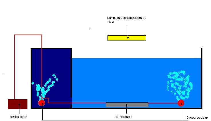 Tanquedeartemia.jpg