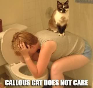 callous_cat.jpg