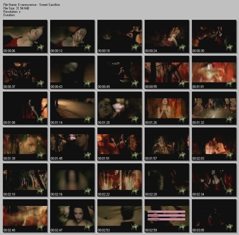 Evanescence-SweetSacrifice.mpg.jpg