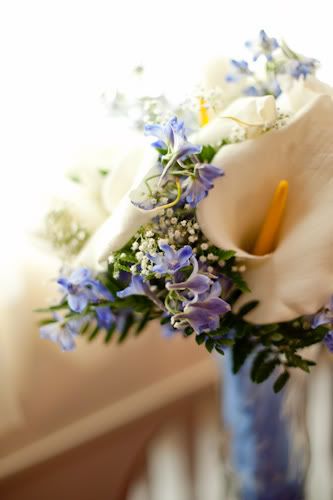 sebring florida wedding