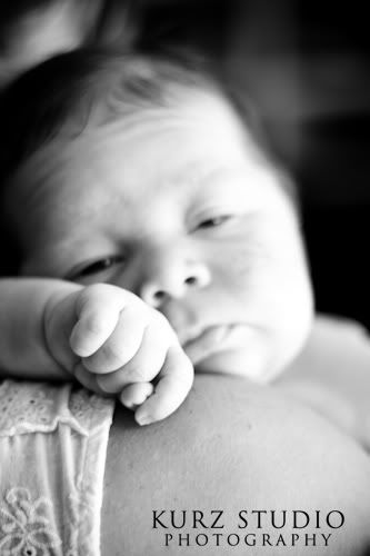 tampa newborn photographer