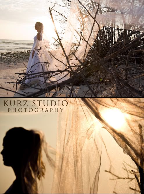 honeymoon island tampa wedding photographer beach,trash the dress honeymoon island,trash the dress beach