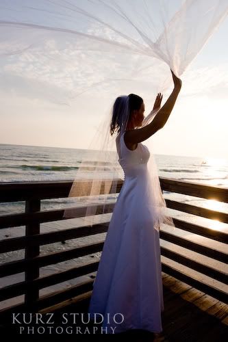 honeymoon island tampa wedding photographer beach