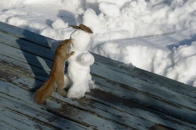 Squirrel with a tiny snowman