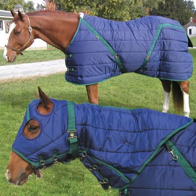 Snuggies for horses