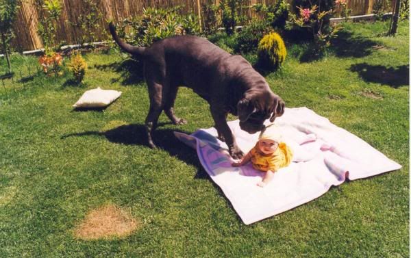 baby and dog on blanket outside