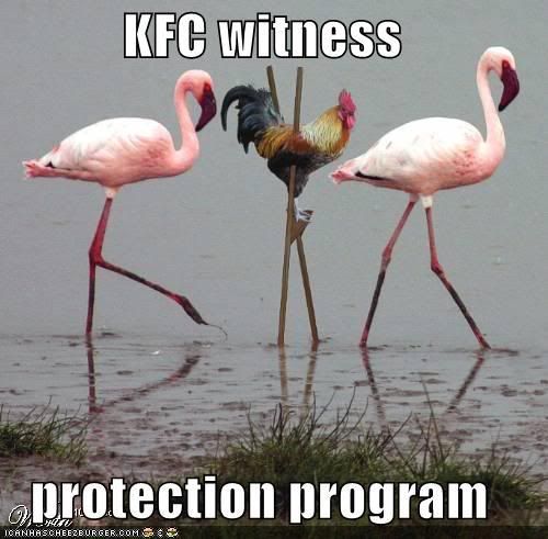 KFC witness protection program. Chicken on stilts with flamingos