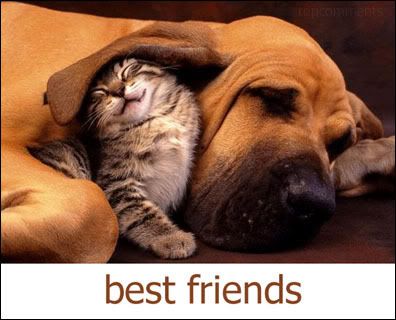 bestfriends Pictures, Images and Photos