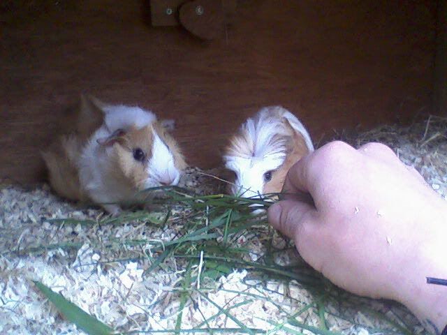 Photo-0608.jpg