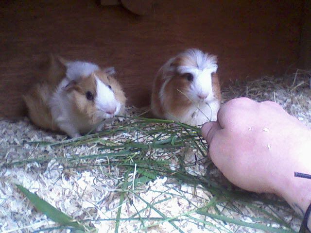 Photo-0609.jpg
