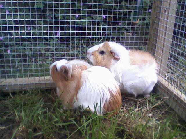 Photo-0626.jpg