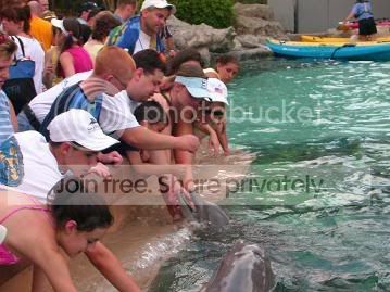 Mum me and Aaron with the dolphins