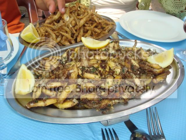 Grenouilles Pictures, Images and Photos