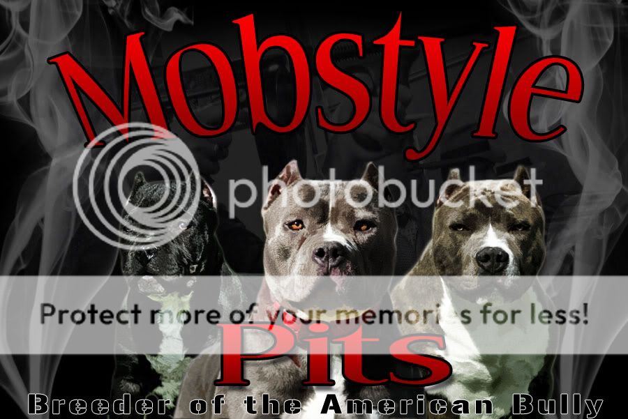 mobstyle4.jpg